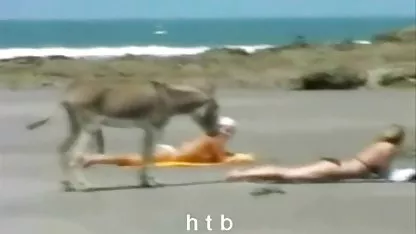 Nya pacar big tits bokep dan ibu mertua